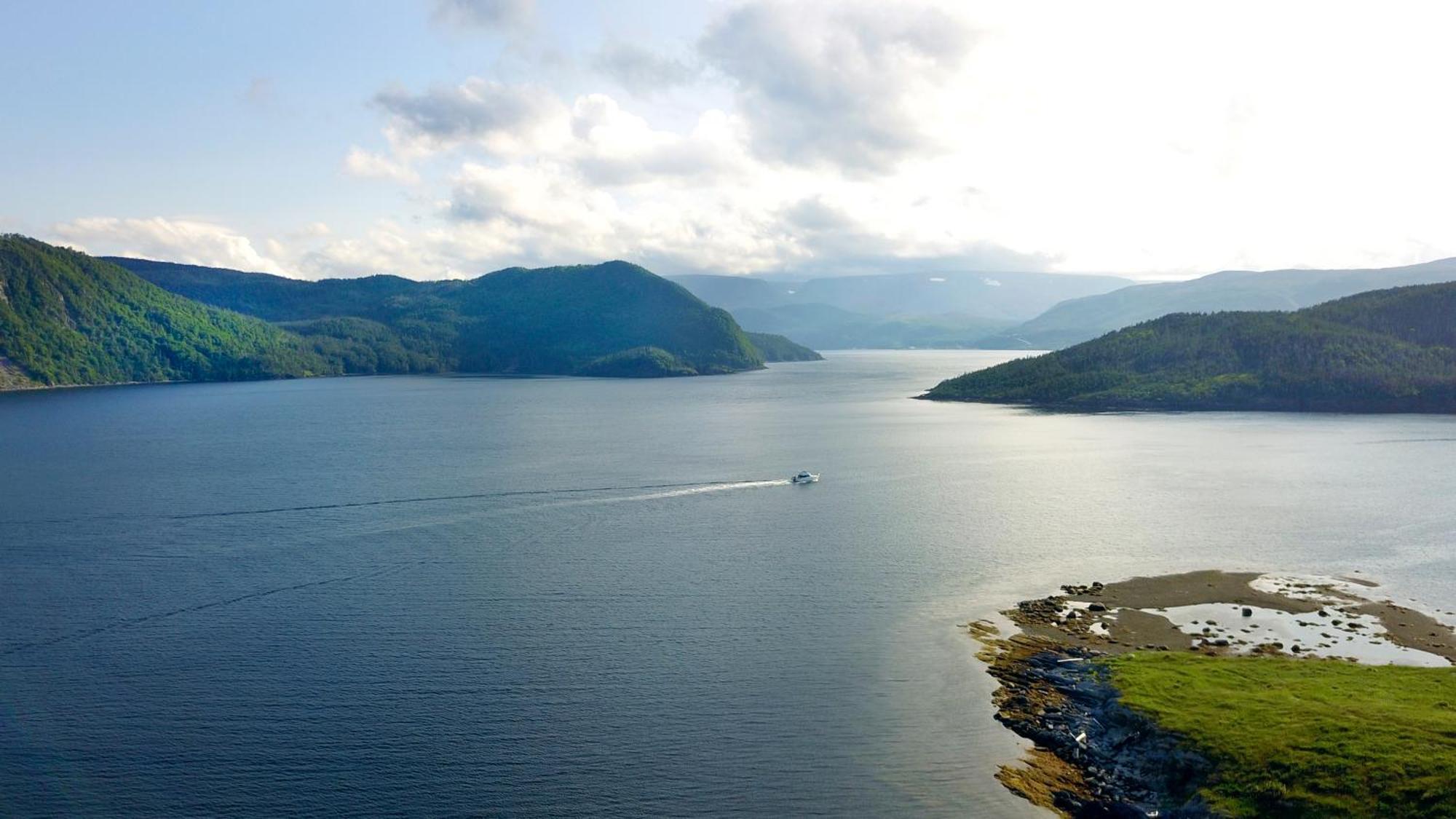 Neddies Harbour Inn Norris Point 외부 사진